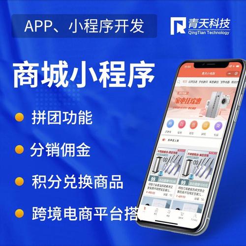 商城小程序定制開發源碼交付