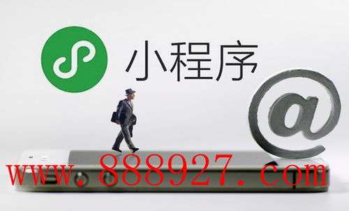 深圳市寶安區(qū)石巖小程序應用定制開發(fā)怎么開發(fā)